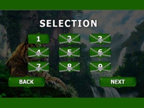 Tiger Simulator &amp; Safari Jungle Animal Image