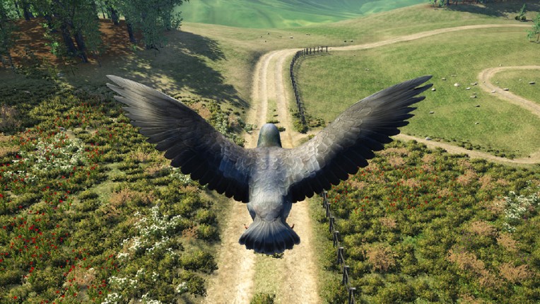 Bird Game 3 Online Image