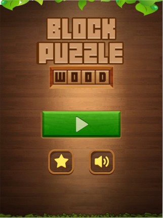 Block Puzzle Wood Blast 2023 screenshot