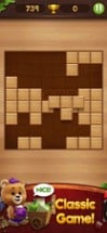 Block Puzzle Wood Image