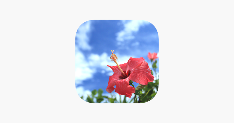 Escape from Okinawa Image