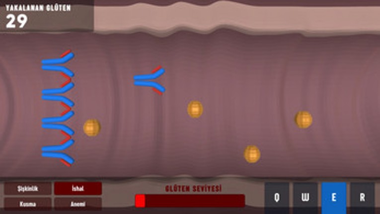 Antikor Image