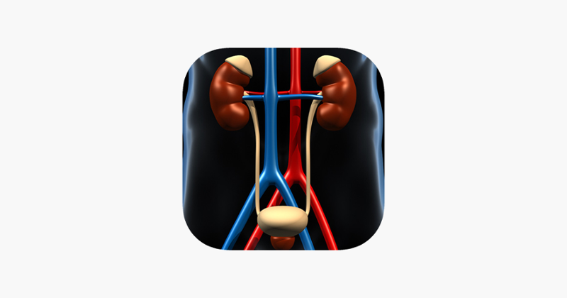 Genitourinary System Trivia Game Cover