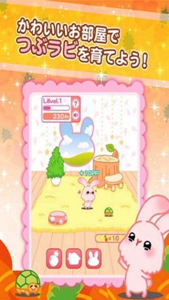 Tsubu-rabi! - The free cute rabbit collection game screenshot