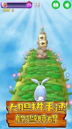 Bunny Rush 2 screenshot