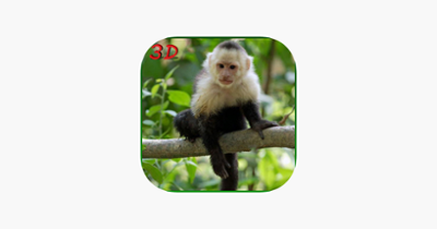 Monkey Simulator - Wild Life Image