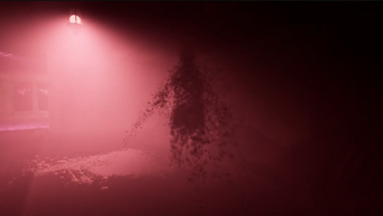 Project P - Unravel the Unknown Image