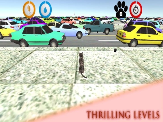 Real Cat Simulator Image