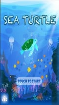 Sea Turtle - An Addictive Game Image