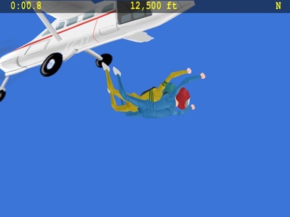 Skydiving Fever screenshot