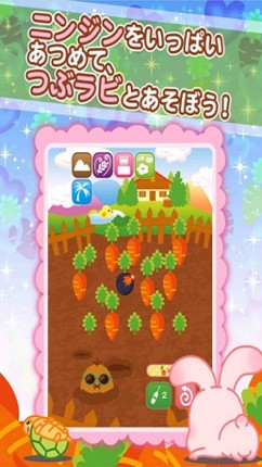 Tsubu-rabi! - The free cute rabbit collection game screenshot