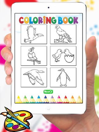 Bird Coloring Book for Kids - Children Drawing free games screenshot