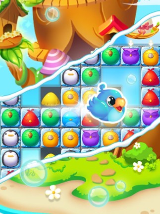 Bird Paradise screenshot