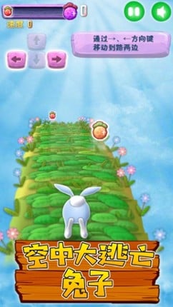 Bunny Rush 2 Image