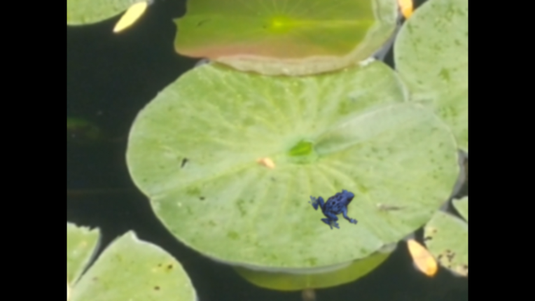 Floral Gutter screenshot