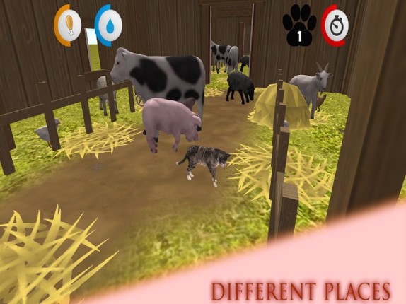 Real Cat Simulator screenshot