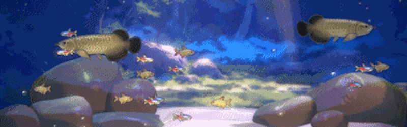 With Me: Aquatic Time screenshot