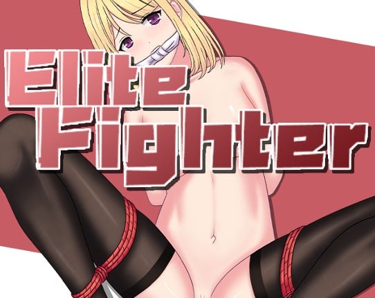 Elite Fighter Game Cover