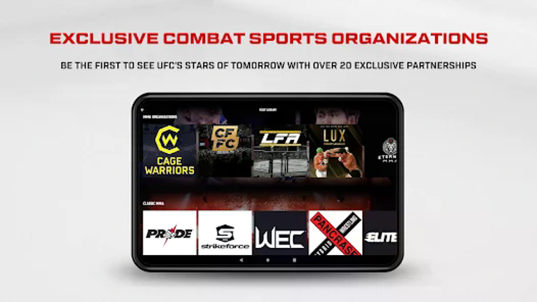 UFC screenshot