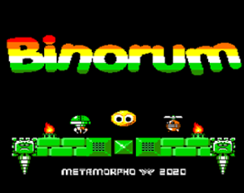 Binorum (for retro-computer   "Vector-06C") Image