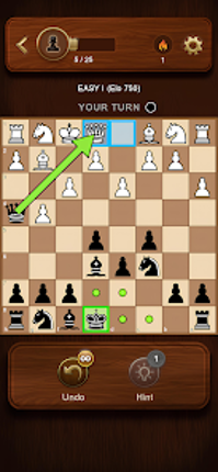 Chess Master: Board Game Image