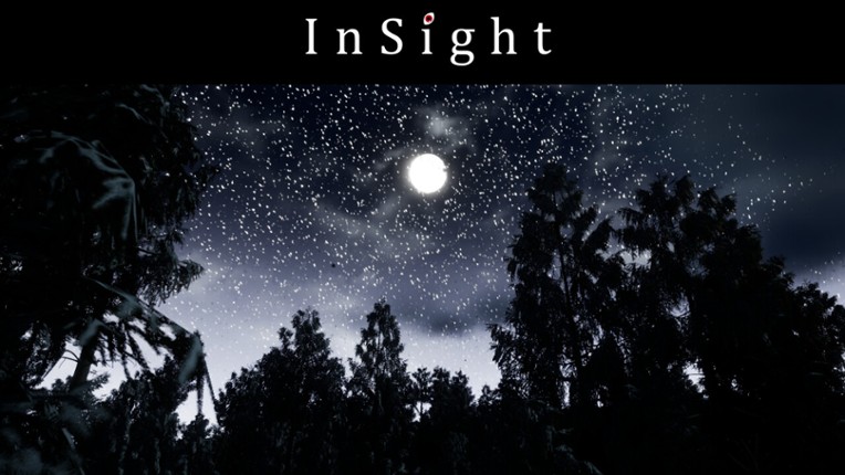 InSight Image