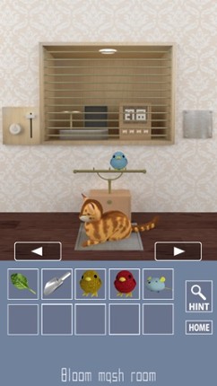 Parrots Escape 2 screenshot