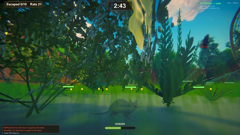 Rat Hunt Image