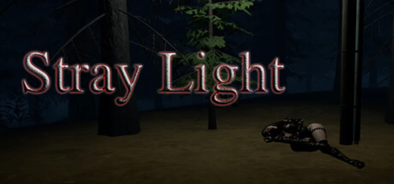 Stray Light Image