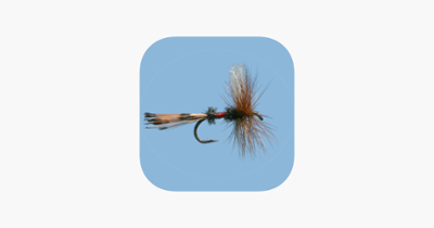 Fly Fishing Simulator Image