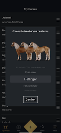 NOBLE HORSE DESIGN Image