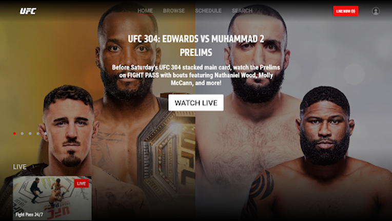 UFC screenshot