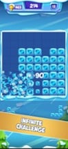 Ice Block Puzzle Game Image