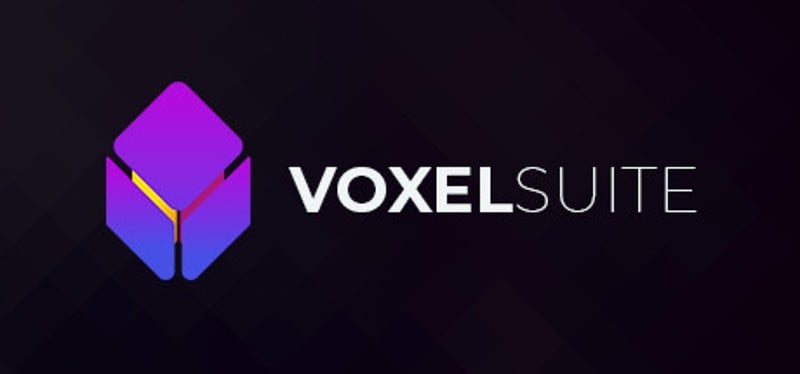 VoxelSuite Image