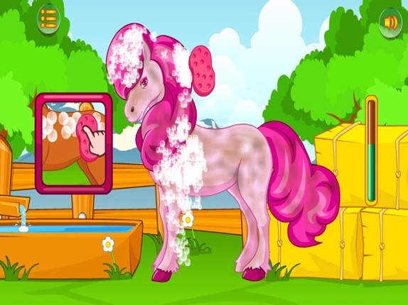 My Horse and Unicorn Grooming Image