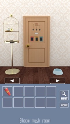 Parrots Escape 2 screenshot