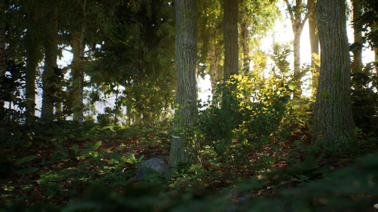 Stone Simulator – Just Be a Rock screenshot