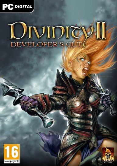 Games like Divinity II: Developer's Cut