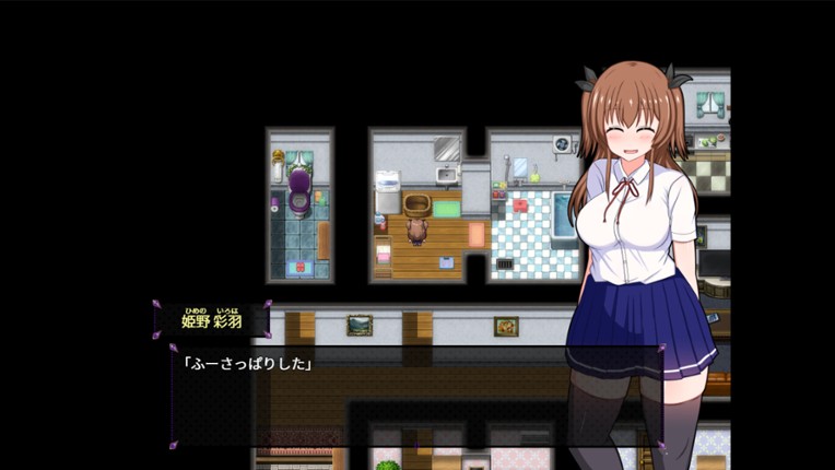 Do Disciplinary Committee Members Dream of Succubi? Image