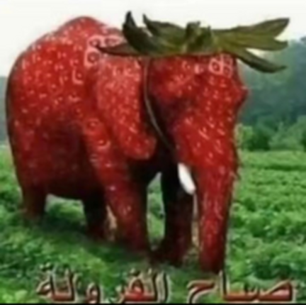 El Cumpleaños de CANTIZ!!! Image