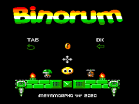 Binorum (for retro-computer   "Vector-06C") Image