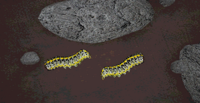 Mycelium screenshot