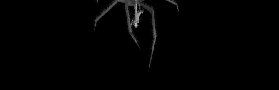 Games like The Story of The Flood