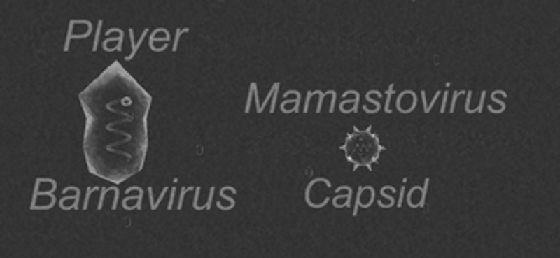 Viral Zone screenshot