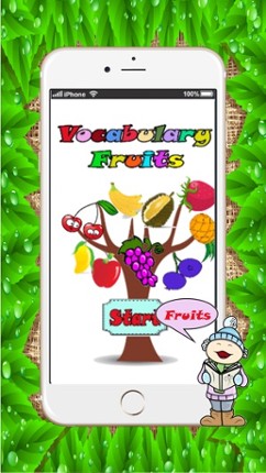 Vocabulary Fruit Image