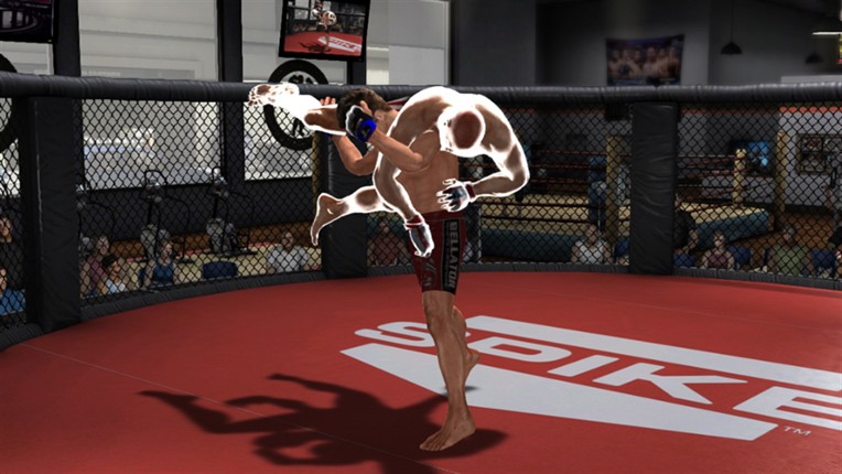 Bellator: MMA Onslaught screenshot