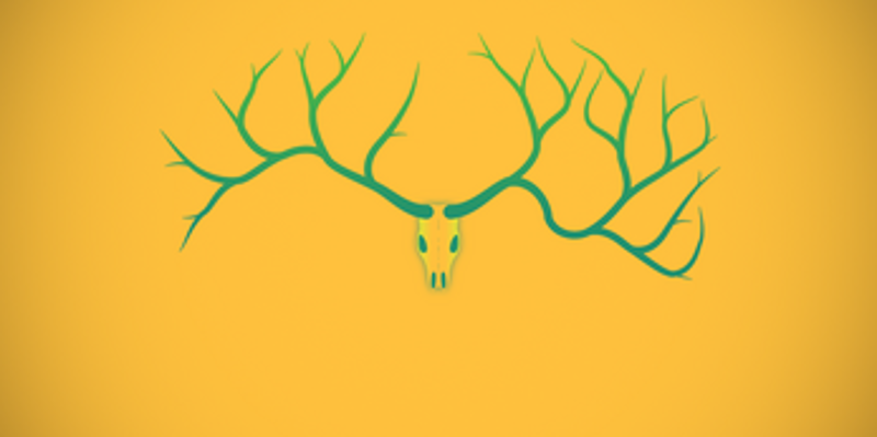 Antlers Image