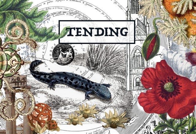 Games like Tending: A Game of Devotion