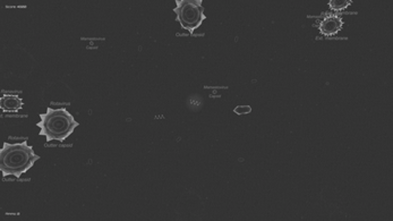 Viral Zone Image