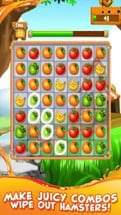 Garden Party - Puzzle Fruit Mania Image